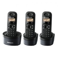 Điện thoại không dây Panasonic KX-TG 1313